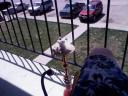 outside my apt