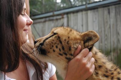 My girlfriend with a cheetah