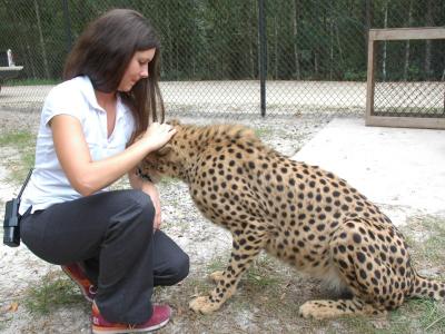 Another cheetah with my girl