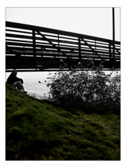 Mid-Tone Bridge 3