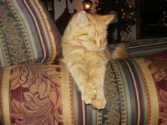 Picture 013.jpg