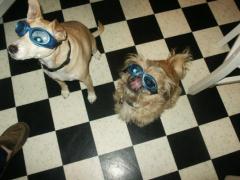 My best friends