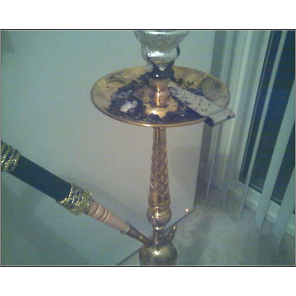 nour shank 2.jpg