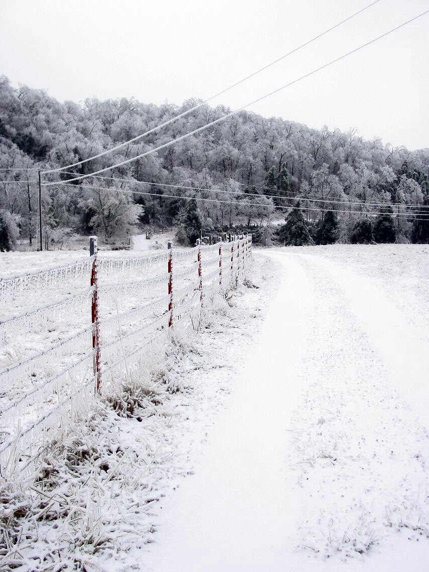 The driveway.