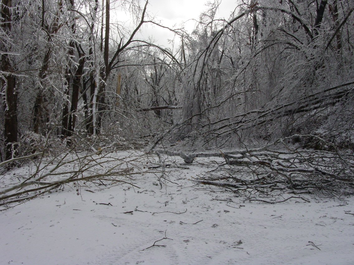 Trapped.  The county road leading to the highway.