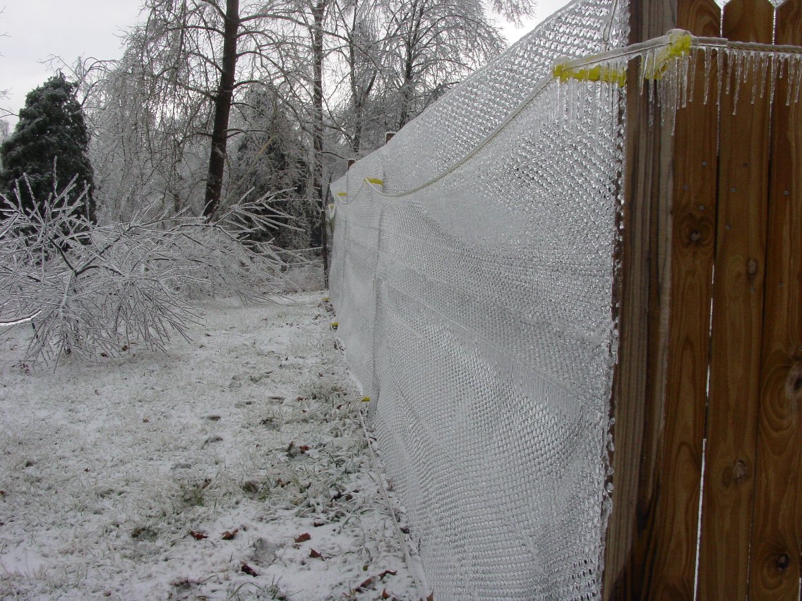 Chicken fence.