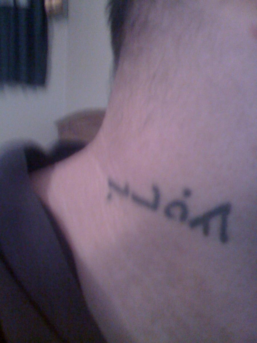 Picture 004.jpg