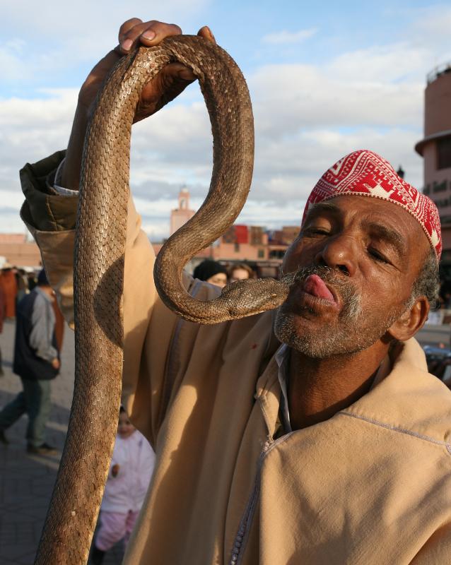 54234777.marrakech.jpg
