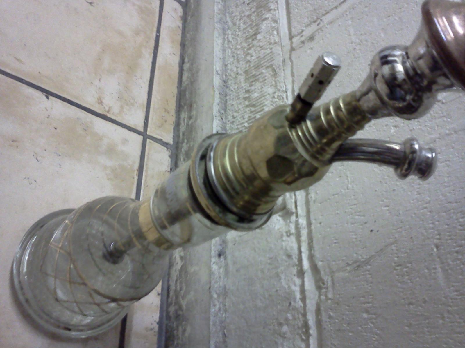 IMG20110120_005.jpg